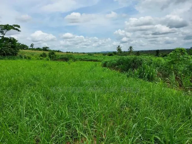 2 Plots of Litigation-Free, Strategically Located Land · Photo 1