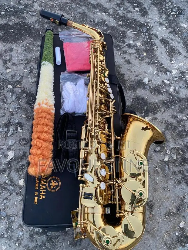 Semi New Yamaha or Premier England Alto Saxophone · Photo 1