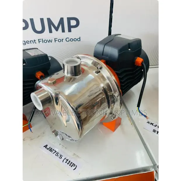 1hp Ajm75s Leo Stainless 0.75kw Pump · Photo 1