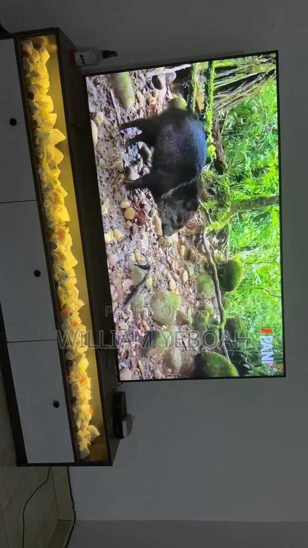 Samsung 65 Inch Television · Photo 1