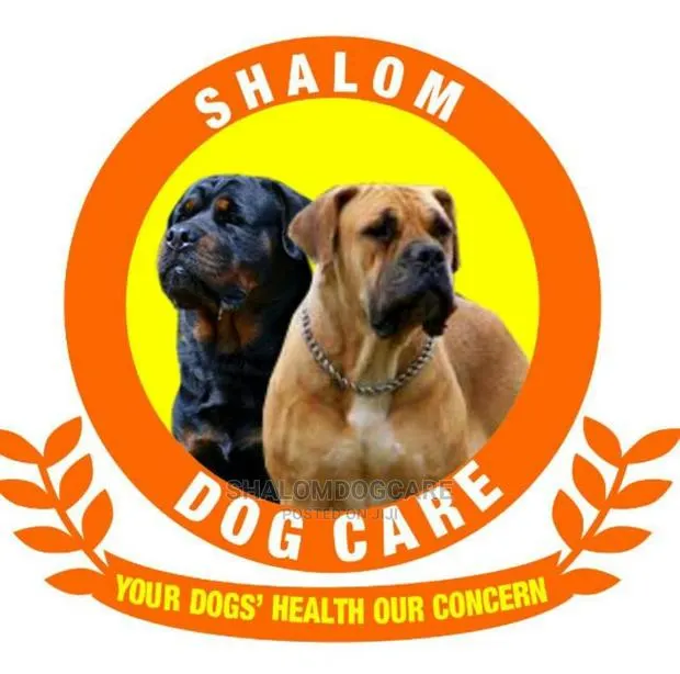 Veterinary Services and Consultation · Photo 1