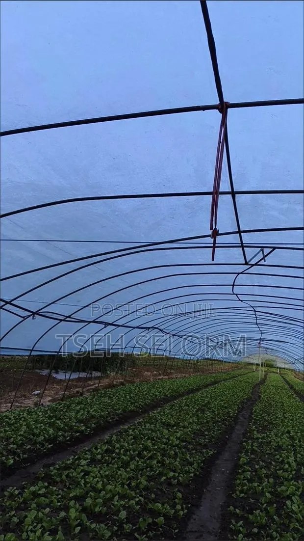 Greenhouse Plastic Film · Photo 1