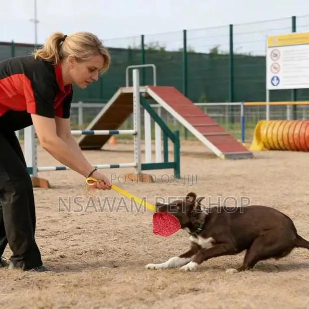 Dog Bite Tug · Photo 1