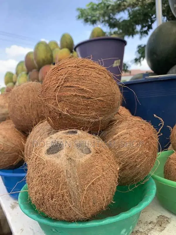 Dry Coconut · Photo 1