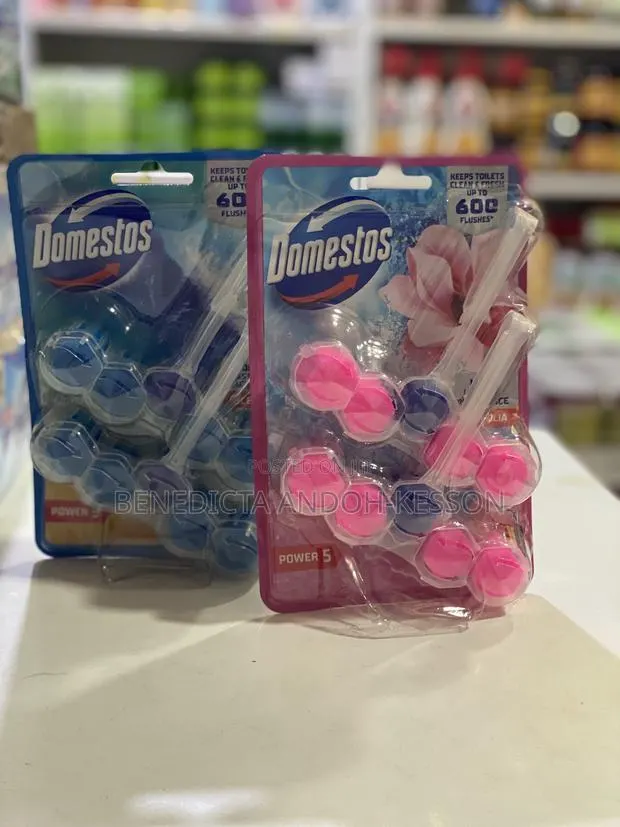 Domestos Dual Toilet Block · Photo 1