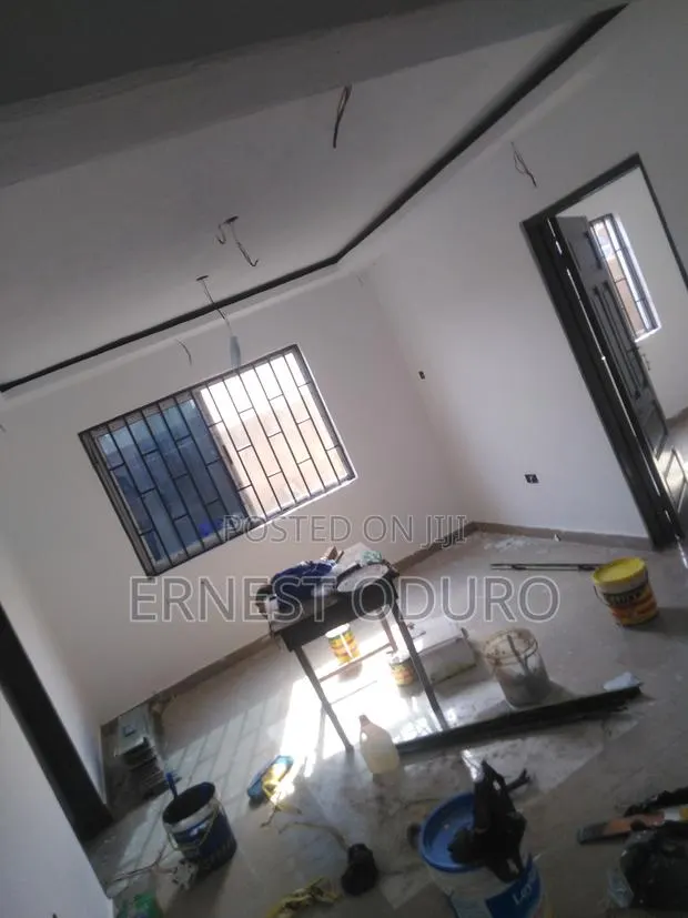 Professional Painter · Photo 1