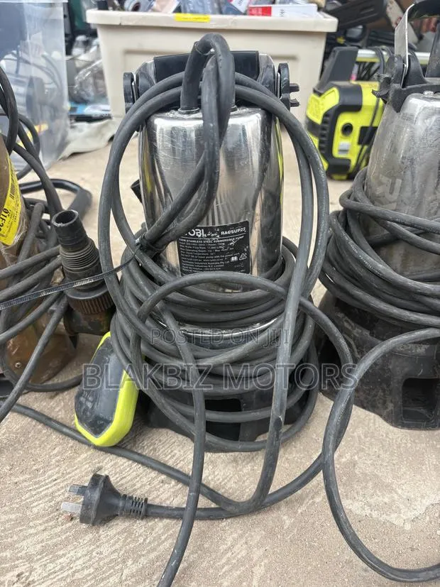 Ryobi 750W Stainless Steel Submersible Water Pump · Photo 1