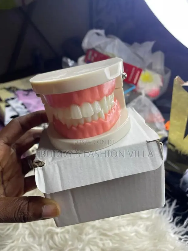 Typodont Teeth/Teeth Mold · Photo 1