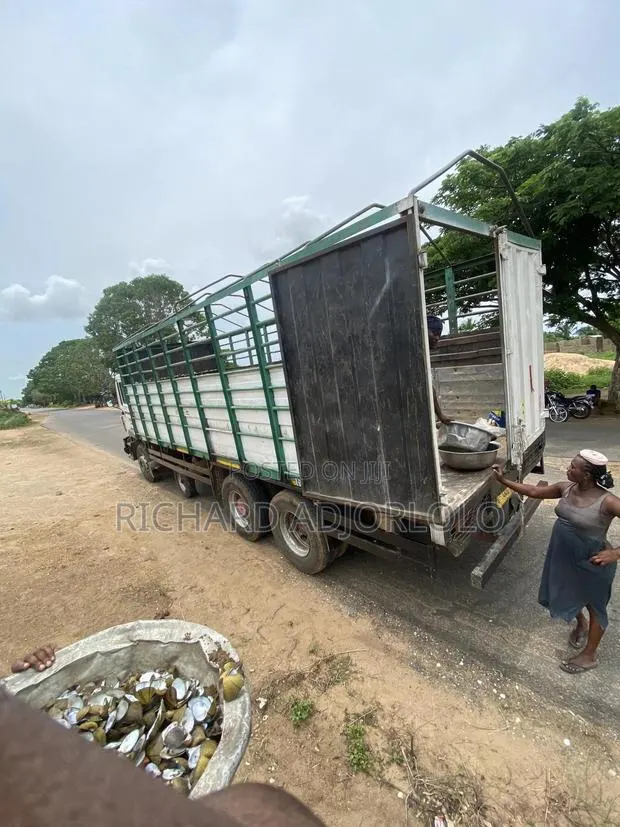 Oyster Shells(Contact for Exact Price) · Photo 1
