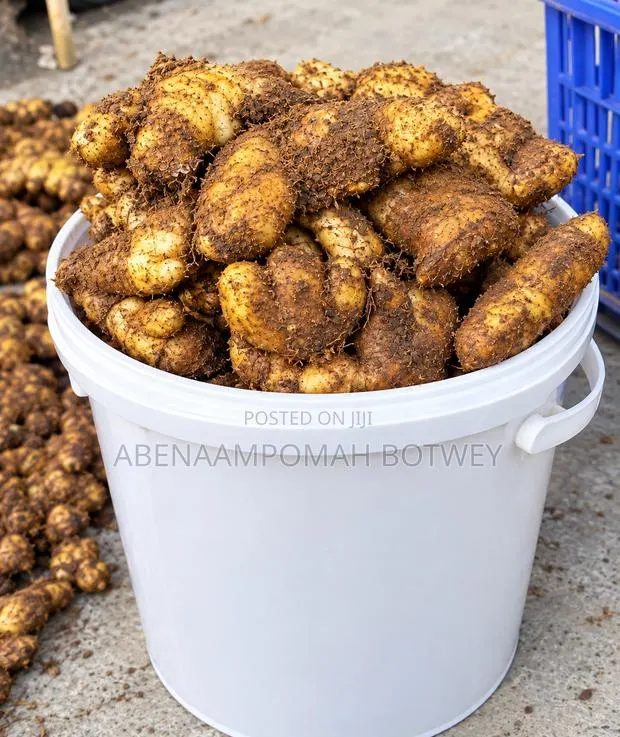 Fresh Ginger Available · Photo 1