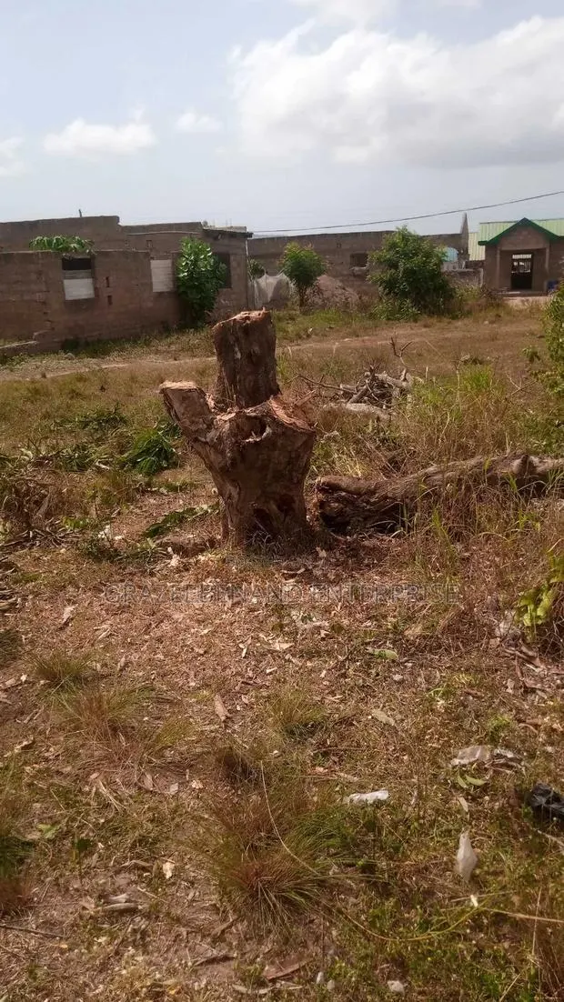 70 X 100 Plot Of Land For Sale At Ga-south · Photo 1