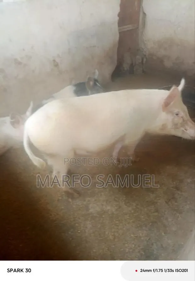 Brothers Farm · Photo 1