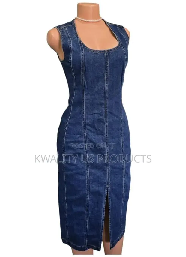 Sofia Ladies Seam Denim Dress · Photo 1