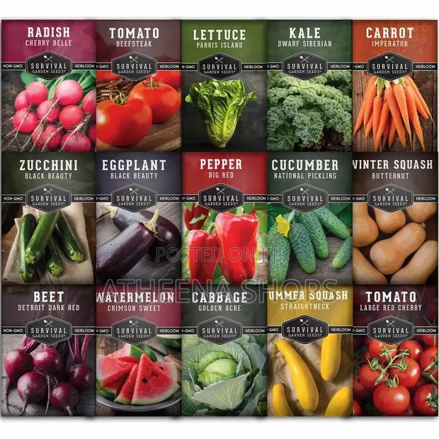 Vegetable Seeds for Sale Here · Photo 1