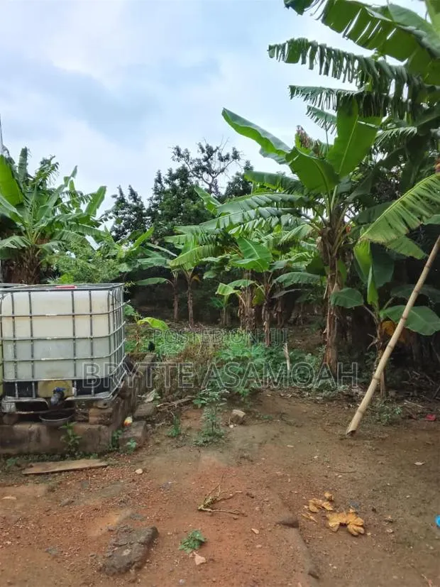 45X100 Titled Land for Sale · Photo 1