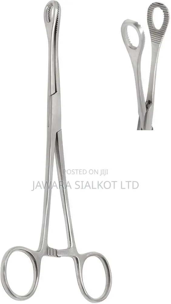 Sponge Holder Forceps - Premium Stainless Steel 20cm · Photo 1
