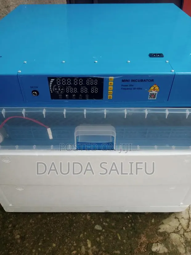 300 Egg Incubator