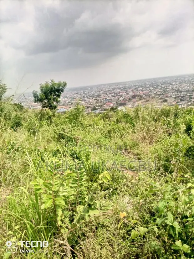 Half Plot of Land for Sale · Photo 1