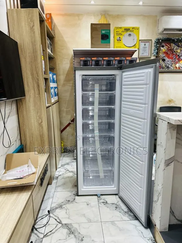 Authentic Sleek Grey Color Upright Freezer Nasd1-33 · Photo 1