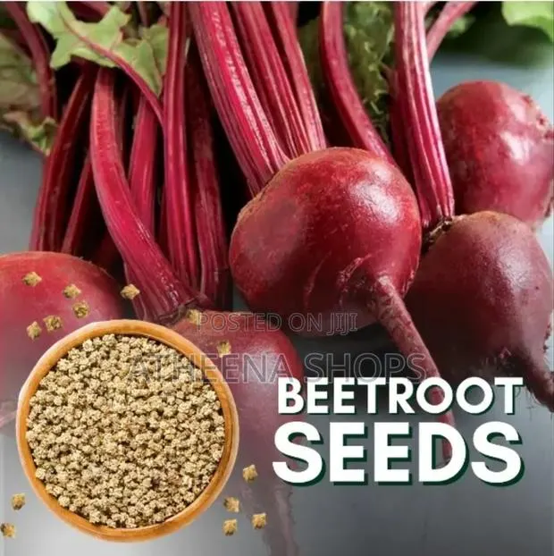 Beetroot Seeds for Sale · Photo 1