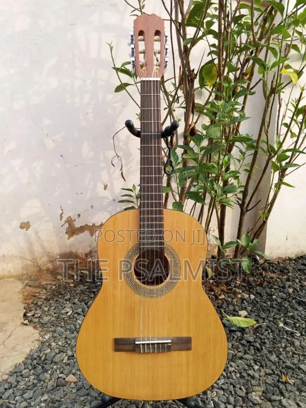 Jose Ribera Hg 623 3/4 Size Classical Guitar in Padded Bag · Photo 1