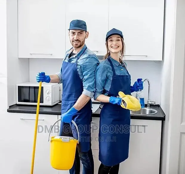 House 2 House Cleaning · Photo 1
