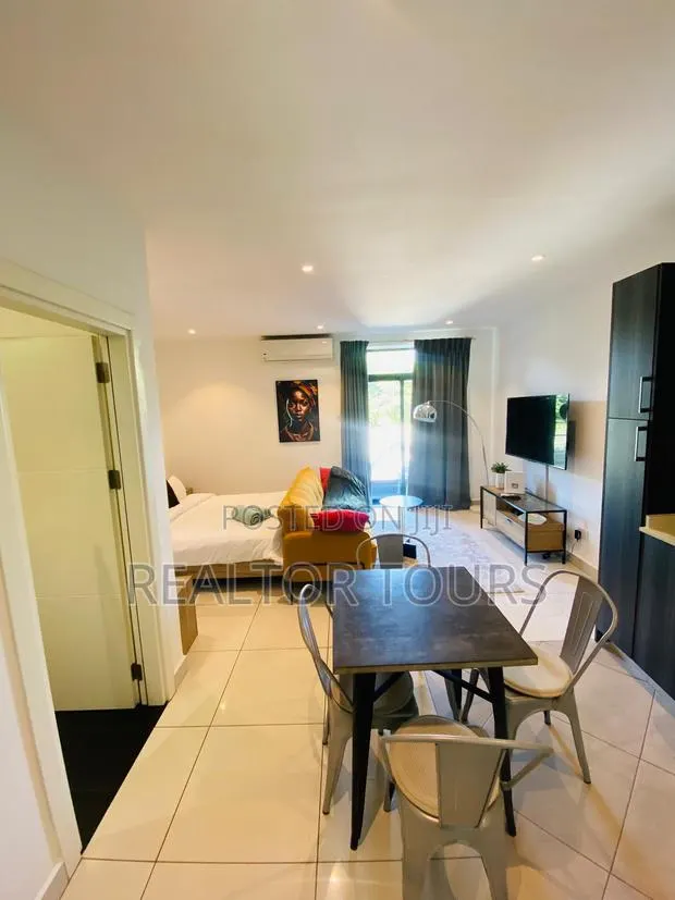 Furnished Studio Apartment in Cantonments for rent · Photo 1