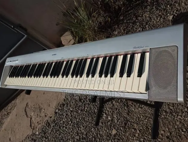 Yamaha Portable Grand NP- 30 With an Adapter