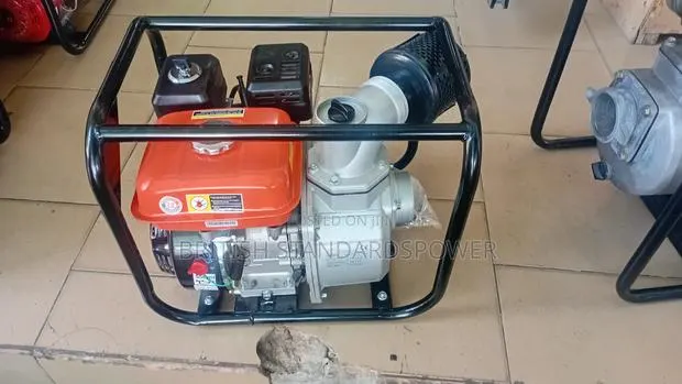 Powerful 6.5hp Leo High Pressure Water Pump · Photo 1