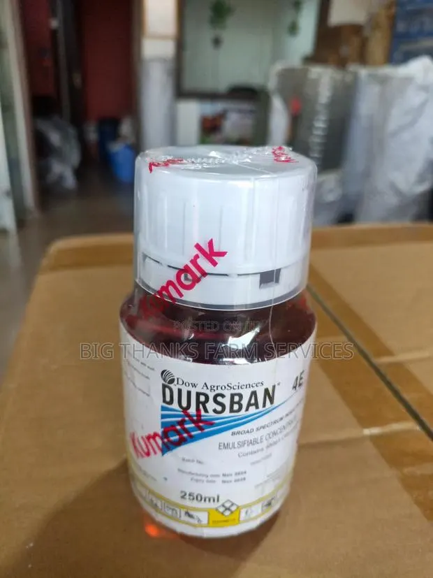Dursban Insecticide 250ml · Photo 1