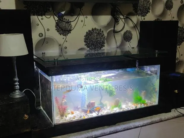 5ft+ Aquarium Tv Stand With 3 Free Fishes Feed · Photo 1