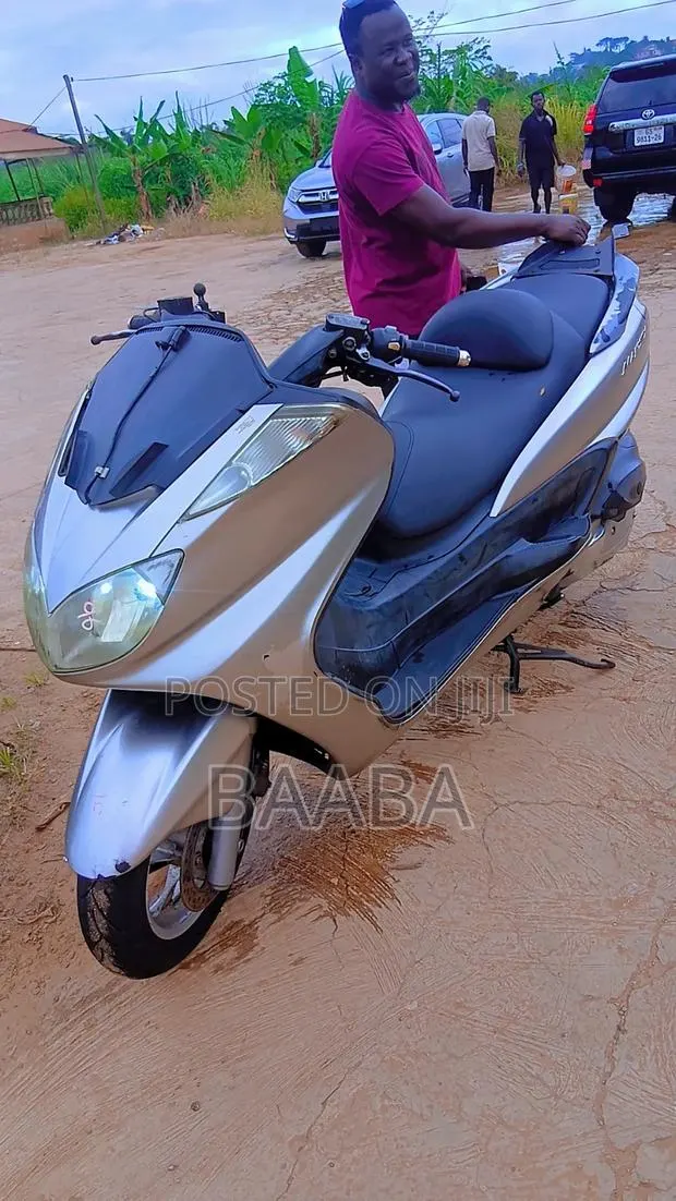 Yamaha Majesty 2019 Silver · Photo 1
