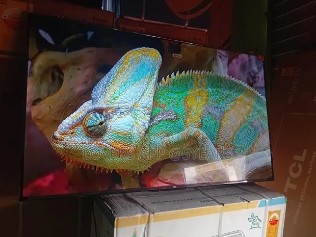 Larger Than Life Entertainment – TCL 55inches Smart Tv · Photo 1