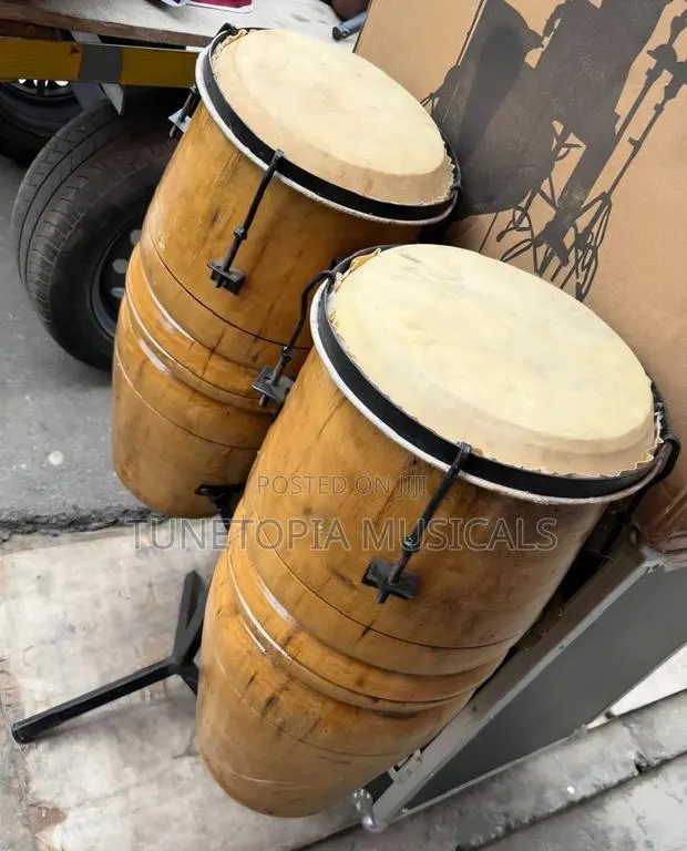 Local Conga · Photo 1