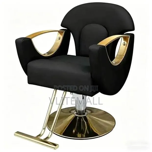 Luxurious Saloon Chairs · Photo 4