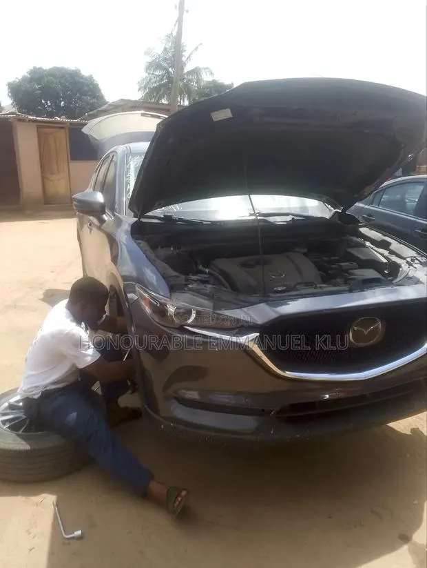 Professional Mechanic · Photo 1