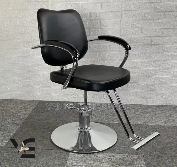 Salon Chair · Photo 1