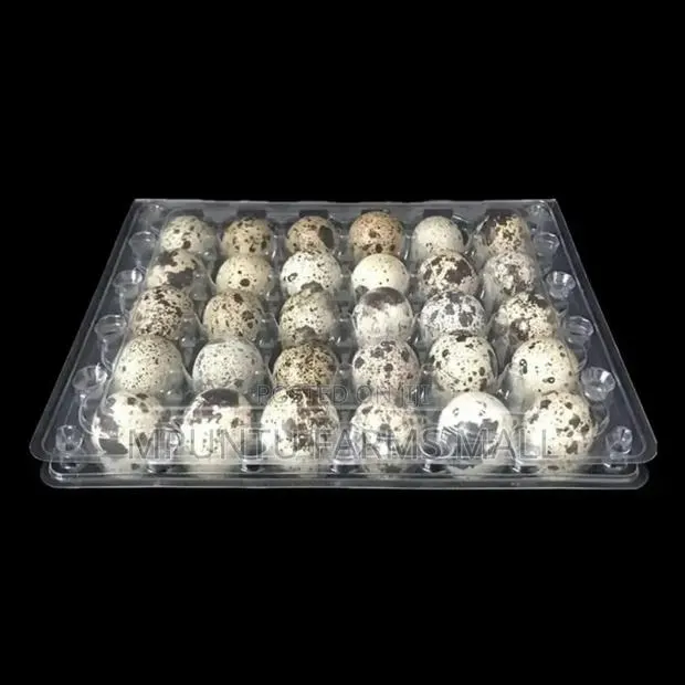 Quail Egg Crates · Photo 1