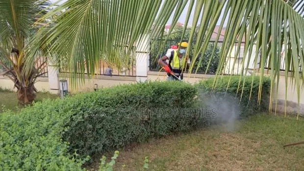 Fungicides Fumigation With Cleantex · Photo 1