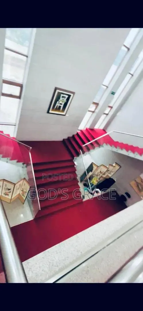 Industrial Carpet for Stairs and Church Auditorium · Photo 1