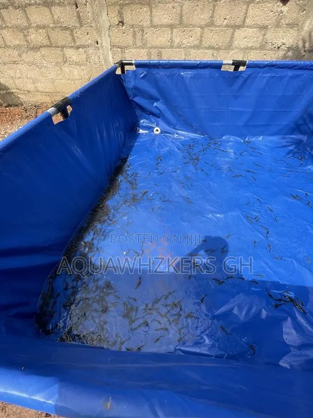 Fish Farming Package · Photo 1