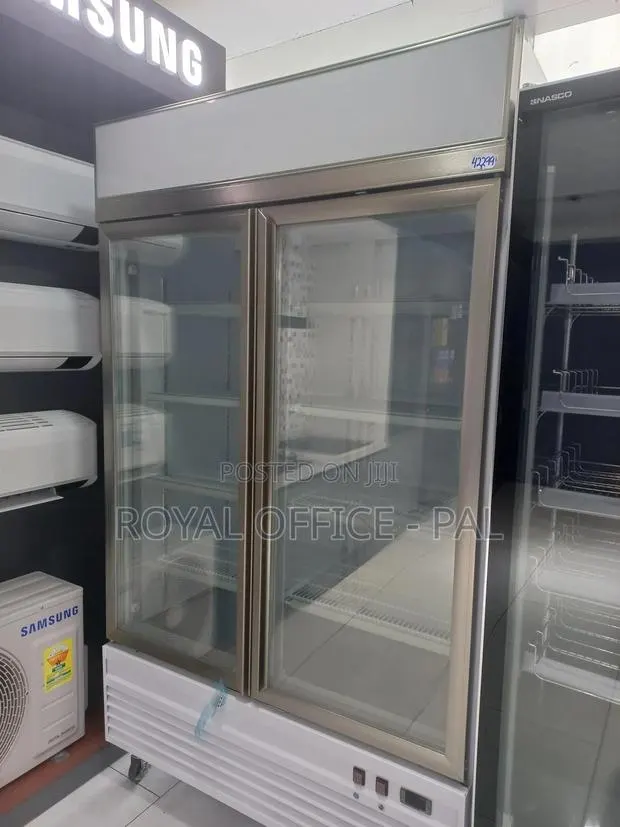 Samsung Double Door Display Massive Freezer · Photo 1