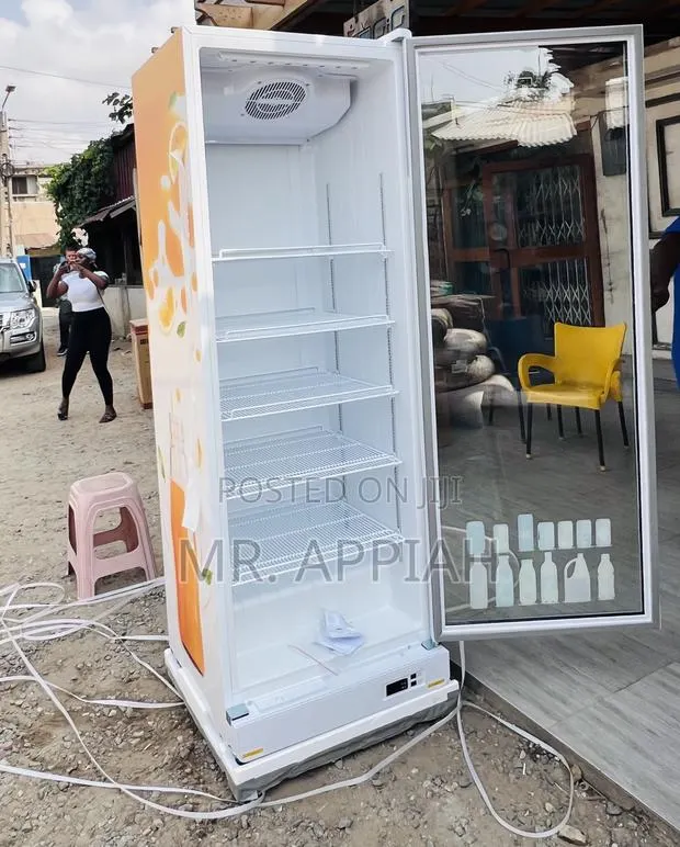 Choose Premium Zara-600dfg 591liters Electric Display Fridge · Photo 1