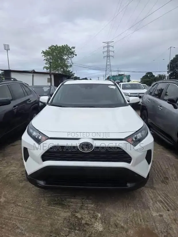 Toyota RAV4 LE AWD 2019 White · Photo 1