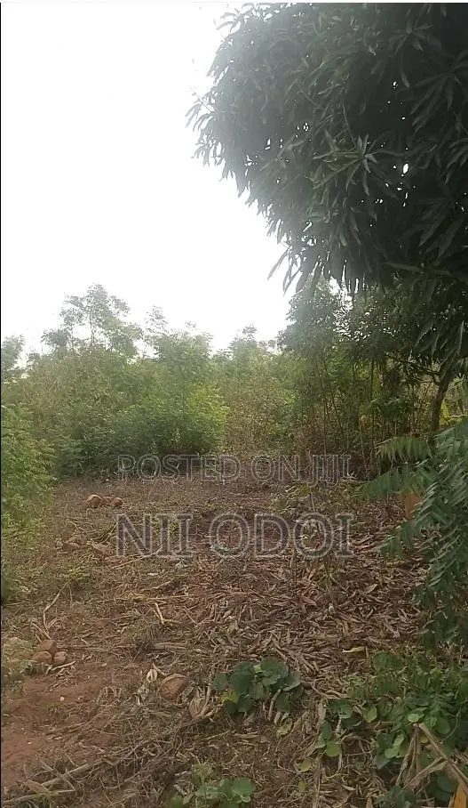 10 Acres Available for Sale at Ojobi Senya Beraku Road · Photo 1