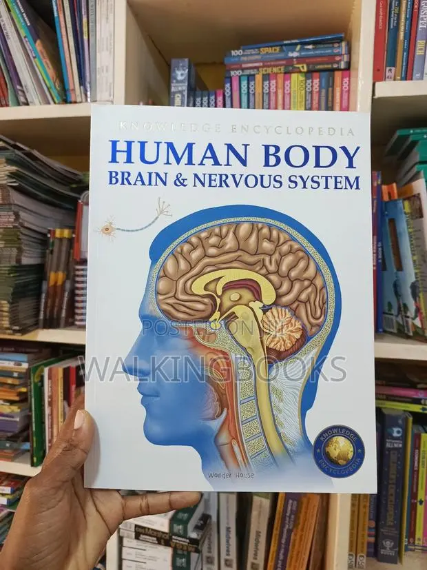 Human Body: Brain & Nervous System · Photo 1