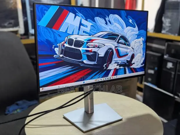 Dell 24 Inch Monitor