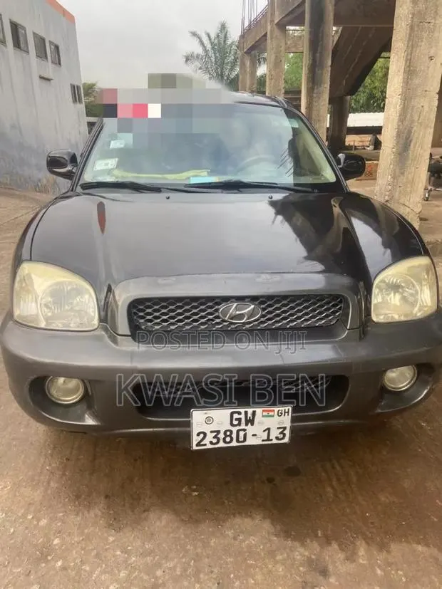 Hyundai Santa Fe 2005 Gray · Photo 1