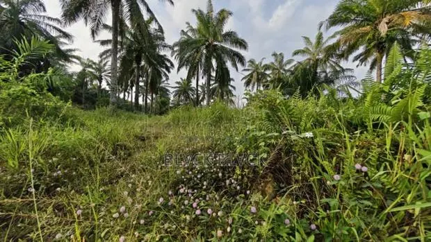 Super Affordable and Highly Accessible Lands at Appiadu · Photo 1