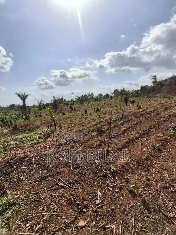 Land at Dida · Photo 1